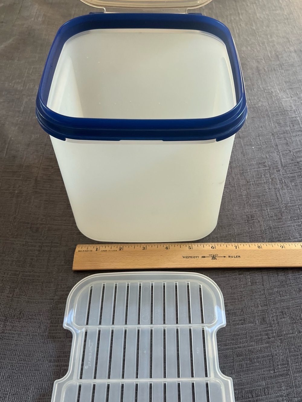 Tupperware White Container with Blue Seal and Clear Lid - Picture 5 of 13